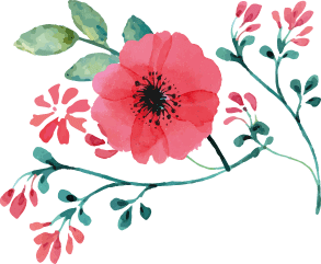 section background image